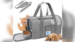 Refrze Cat Carrier Review: Best TSA-Approved Pet Carrier 2024