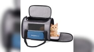 BurgeonNest Pet Carrier Review: Best for Large Cats & Small Dogs