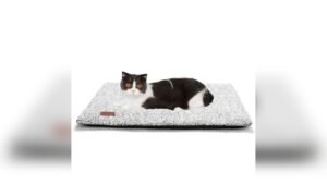 Self Warming Cat Bed 24×18 Inch Review: Warm & Cozy Pet Mat