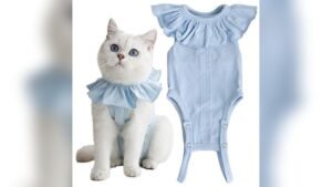 Cat Recovery Suit Review: Best Surgical Shirt & E-Collar Alternative