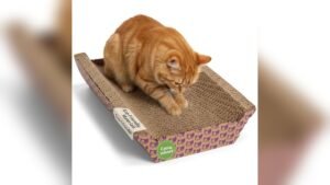 SmartyKat Super Scratcher Review: Catnip-Infused Cat Scratcher