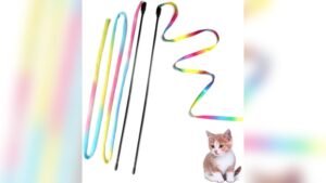 M JJYPET Cat Wand Toys Review: Best Interactive Kitten Playset