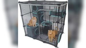 Kitty City Outdoor Catio Furniture Review: Mega Kit Guide