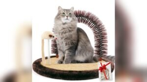 Happi N Pets Large Cat Self Groomer Review: Best Indoor Cat Scratcher