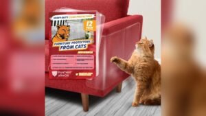 12 Pack Cat Scratch Furniture Protector Sheets Review & Guide