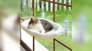 AMOSIJOY Cordless Cat Window Perch Review: Cozy & Sturdy Bed
