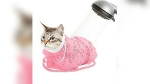 Catcan Cat Bathing Bag Review: Safe, Breathable, Adjustable Grooming