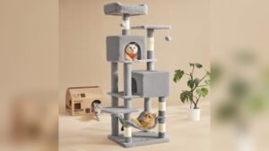 Feandrea Cat Tree 59.5” Review: Cozy Condo & Scratching Posts