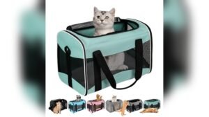 Top Review: Soft-Sided Cat Dog Carrier for Pets up to 16lbs