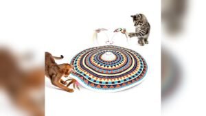 Potaroma Cat Toys Chargeable Review: Fun 3in1 Interactive Play