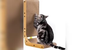 Poils bebe L Shape Cat Scratcher Review: Protect Your Furniture