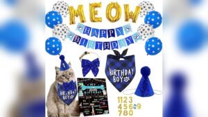 Top Cat Kitten Birthday Bandanas & Party Supplies Review