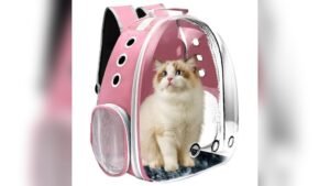 Top Cat Backpack Carrier Review: Ventilated, Travel-Ready Pink Pet Carrier