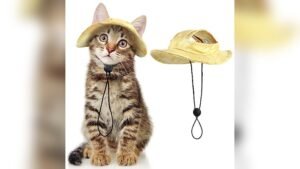 DENTRUN Cat Cowboy Hats Review: Perfect Party Headwear for Pets