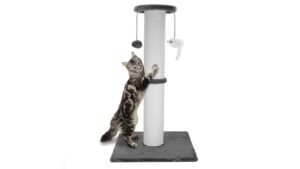 Ahomdoo 34 Heavy Duty Cat Scratching Post Review & Guide