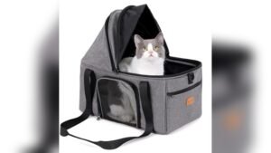 BurgeonNest Top-Expandable Cat Carrier Review: Best for Pets Up to 15 lbs