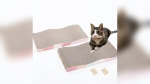 SIDAZON Cat Scratching Board Review: Durable & Catnip-Infused Pads