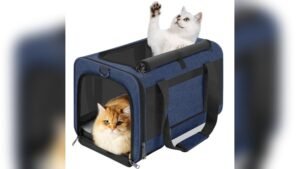 GAPZER Soft Dog & Cat Carrier Review: Comfort for Pets Up to 25 lbs