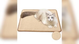 FUKUMARU Cat Scratcher Mat Review: Protect Sofa & Carpet Easily