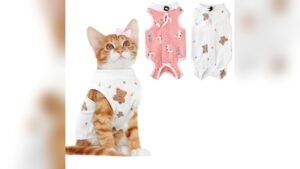 Coppthinktu Cat Recovery Suit Review: Best Post-Surgery Care