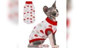 PUMYPOREITY Sphynx Cat Clothes Review: Cozy Red XS Sweater