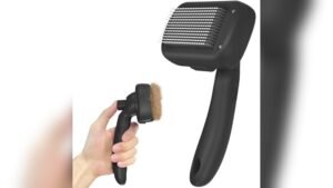 Dipoo Self Cleaning Shedding Brush Review: Best Grooming Tool