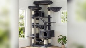 Heybly Albero per Gatti 180 cm Review: Best Indoor Cat Tree