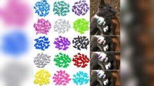 VICTHY 160pcs Cat Nail Caps Review: Safe & Easy Claw Covers