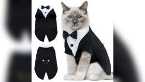 DENTRUN Cat Tuxedo Outfit Review: Stylish Formal Cat Costume