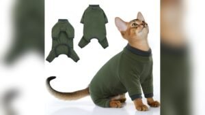 PUMYPOREITY Cat Clothes Review: Soft, Loss-Preventing Pajamas M