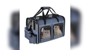 Groxkox Cat Carrier for 2 Cats Review: Reliable & Foldable