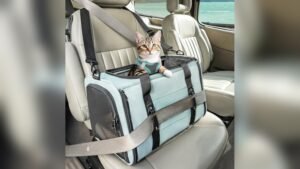 PETSFIT Soft-Sided Cat Carrier Review: Safe & Travel-Ready