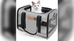 YUNIQUE Soft-Sided Pet Carrier Review: Lightweight & Airline Approved