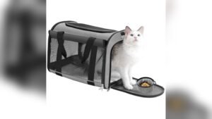 TWDEPART Cat Carrier Backpack Review: Firm, Foldable & Breathable