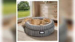 BALANCE Cat Bed Kitten Bed Review: Soft, Washable & Cozy