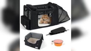 Pidipiti 25” Extra Large Expandable Cat Carrier Review & Guide