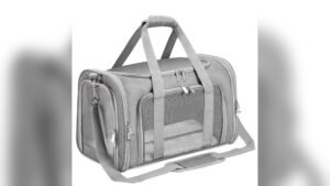 Soft-Sided Pet Carrier Review: Best TSA-Approved Travel Bag (Gray)