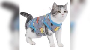 kzrfojy Cat Recovery Suit Review: Best Post-Surgery Onesie (Gray, Large)