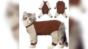QBLEEV Sticky Hair Cat Clothes Review: Soft, Cozy, XXL Brown