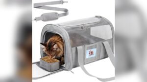Soft Cat Carrier for Pets Up to 15 lbs: TSA Approved & Waterproof
