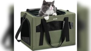 Pecute Cat Carrier Stable Review: Safe & Comfy Travel Bag