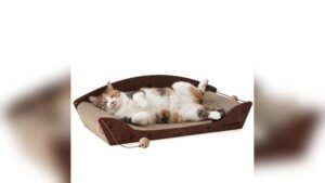 ZOMISIA 26” Cardboard Cat Scratcher Bed Review: Top Indoor Lounger