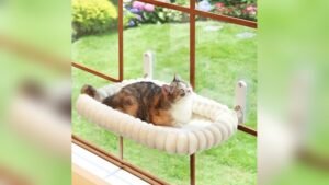 Zakkart SnugCloud Cat Window Perch Review: Cozy & Cordless Bed