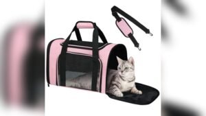 FOORLON Cat Carrier Soft Review: Comfy Travel Bag for Pets Up to 15 Lbs