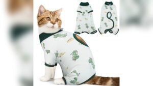 DENTRUN Cat Surgery Recovery Suit Review: Soft, Safe & Comfy