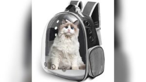 Vivicreate Large Cat Backpack Carrier Review: Comfort & Safety