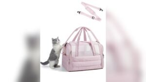 BAGSMART Cat Carrier Review: Soft, Quilted Travel Bag for Pets
