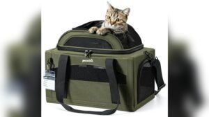 Pecute Expandable Pet Carrier Review: Safe, Soft & Airline Approved