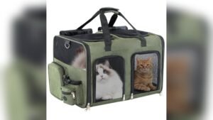 TOYSBOOM Cat Carrier for 2 Cats Review: Spacious & Durable