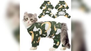 QBLEEV Cat Onesie Review: Best Recovery Suit for Cats After Surgery